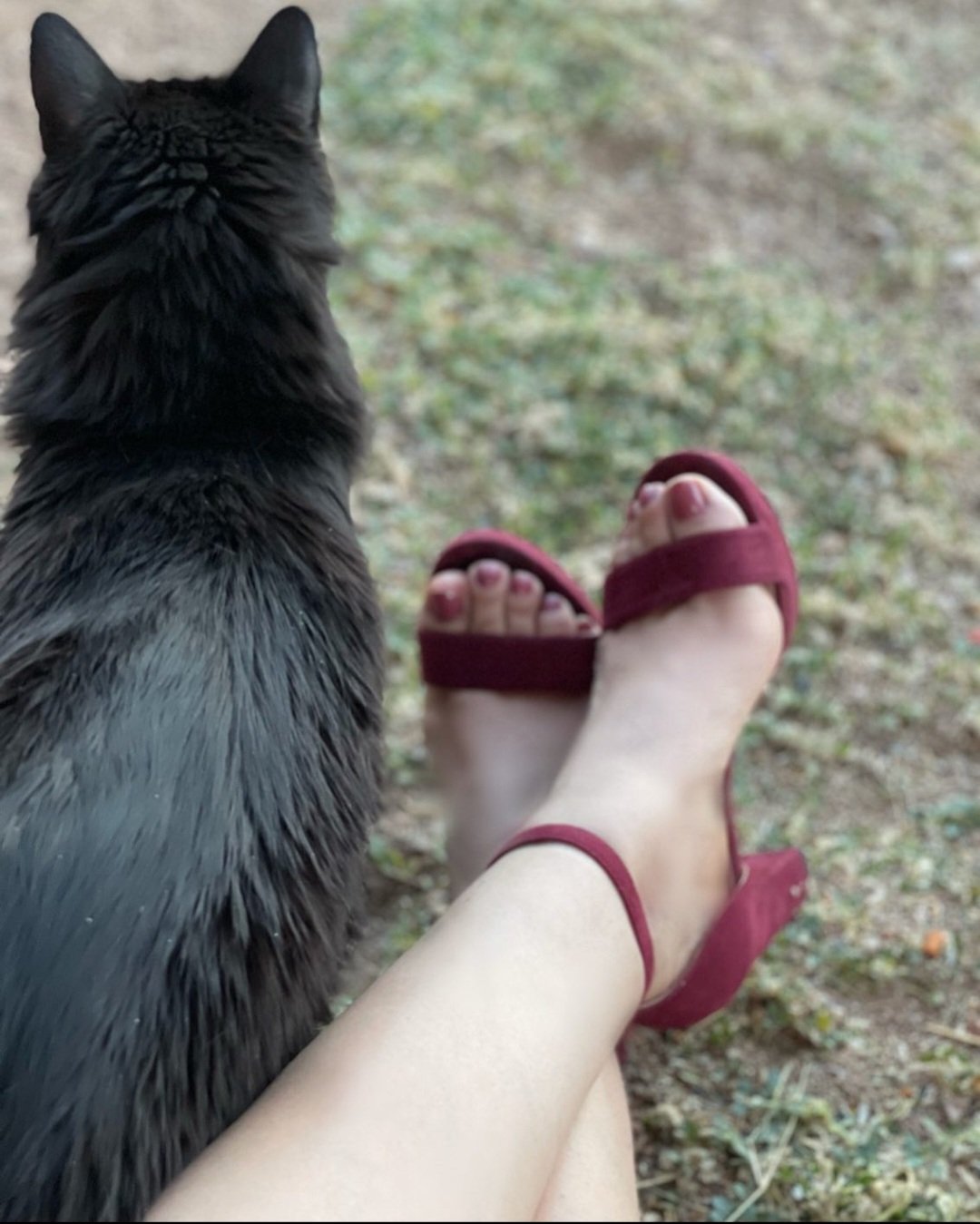 the legs and feet of my friends #HeEeggQ1